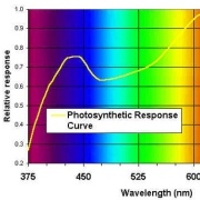 avantaje led pentru cresterea plantelor
